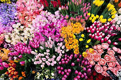 《碧蓝幻想：RELINK》上市预告 2月1日来袭